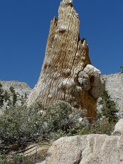 MineralKingLoop 207